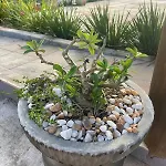Casa Com 7 Quartos E Piscina - Arraial D\'Ajuda